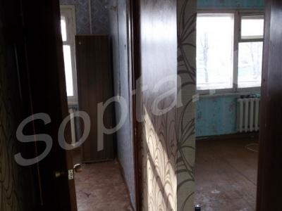 ���� ������������� �������� 